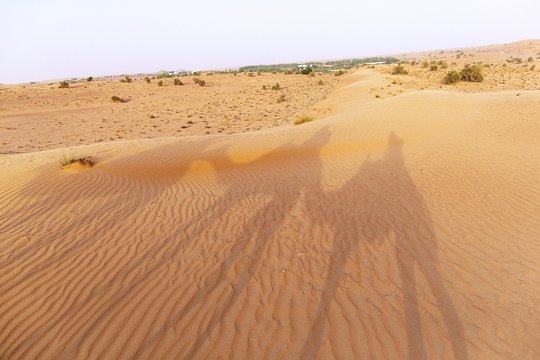 Tour image 8