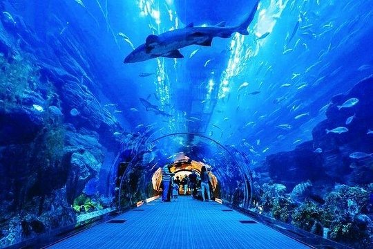 Tour image 7